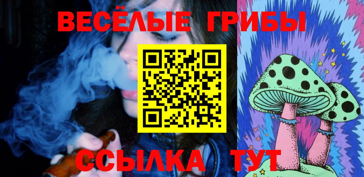 Псилоцибиновые грибы прущие грибы  Вход с VPN  Ливны 